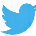 Twitter icon